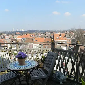  Bed & Breakfast Basilique